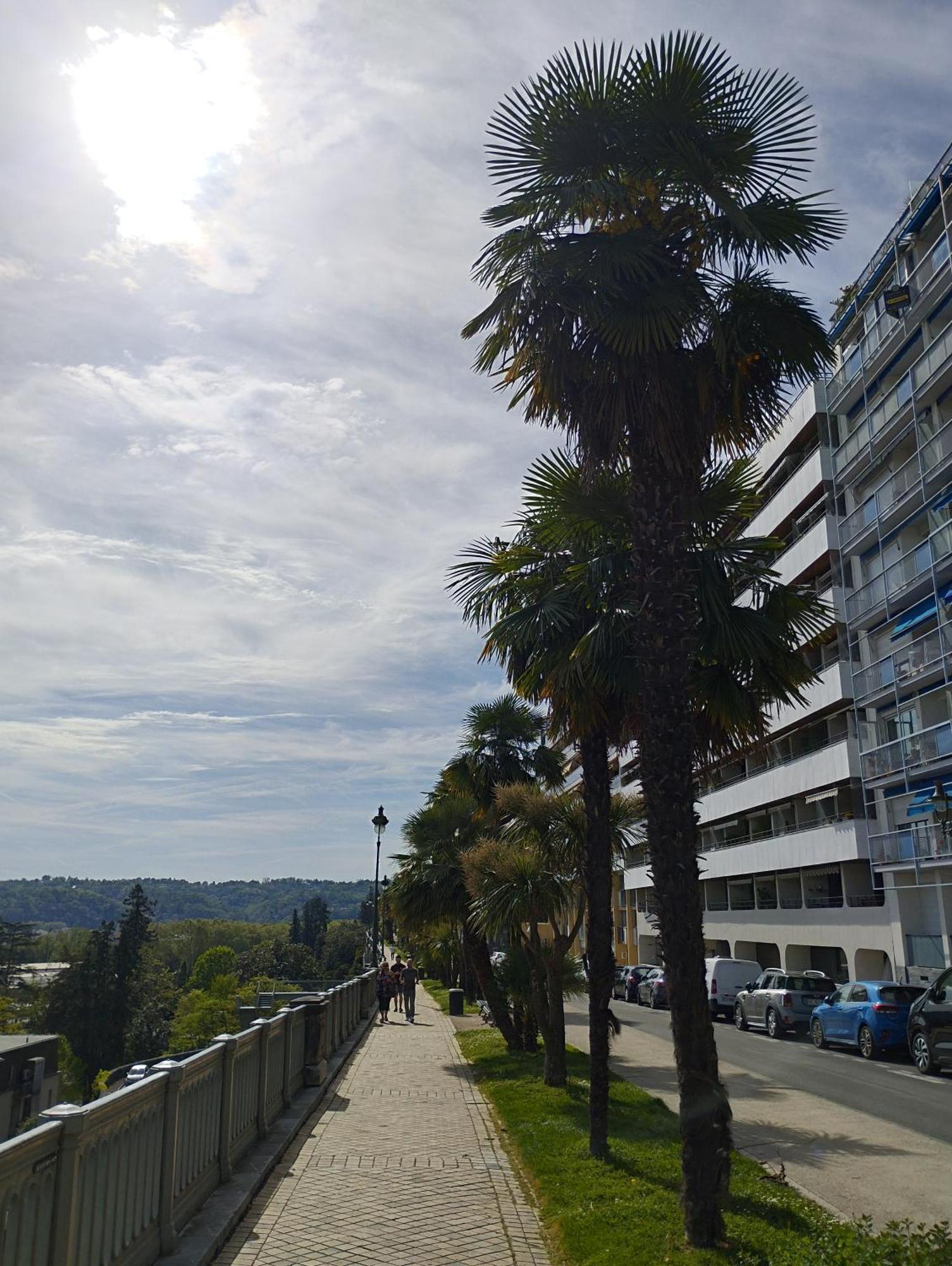 Chambrette Boulevard Des Pyrenees Hypercentre 10M Carre Wc Sur Le Palier, Porte40 Pau Kültér fotó